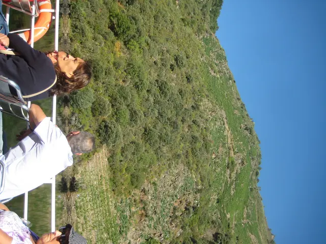 Release Date for "A Big Bold Beautiful Journey" on Streaming Platforms?