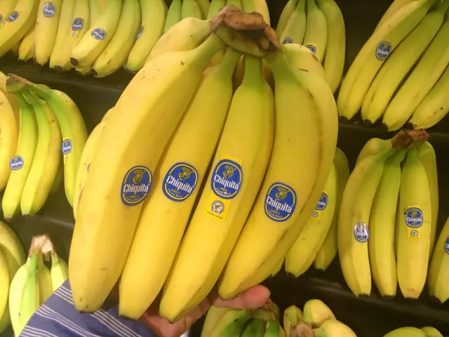 Swedish Minister's Unique Anxiety towards Bananas Unveiled by Email Leak