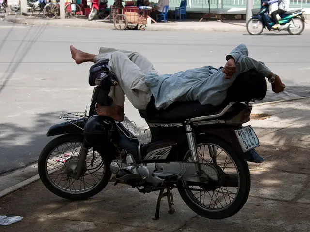 Tourist journeys experience a surge in potential dangers, court observes