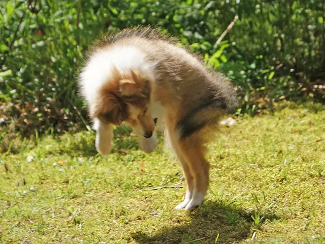 Johnny Depp encounters new problems at his UK residence