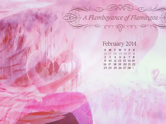 Football Match Between Houston Texans and Indianapolis Colts in Week 1: Odds, Schedule, and...