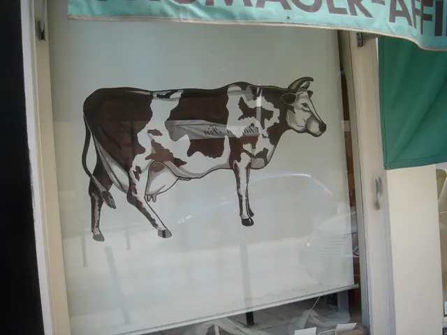 Daily New York Times Puzzle Solutions, Clues, and Assistance for September 19 - Crossword #565