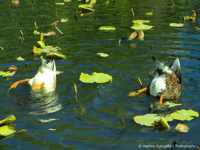 Anticipated: Intense and Speedy Blows Tomorrow (20th) in Caracaraí