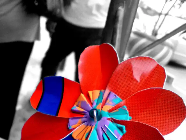 Guide to the Leading Post-Production Companies in Slovakia (2025)