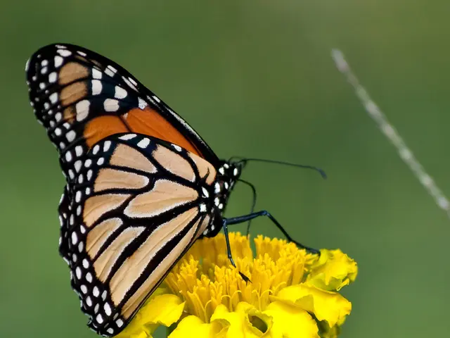 A Democrat takes aggressive action against progressive organizations