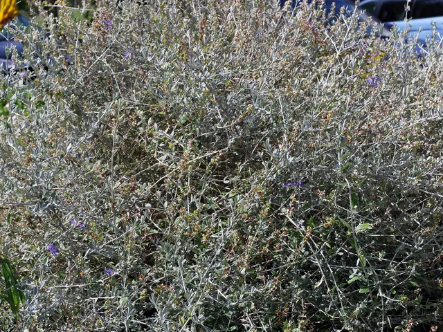 Shift in Power: Uddhav Thackeray's Group Oversees Widespread Political Departures