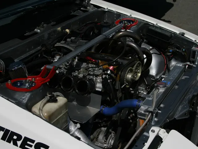 EU's Environmental Policies