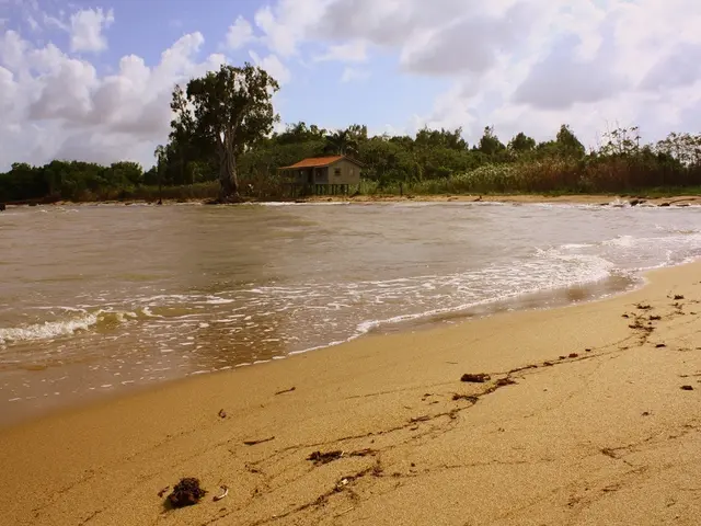 "Beneath the Sands": A Tale of Death and Rebirth