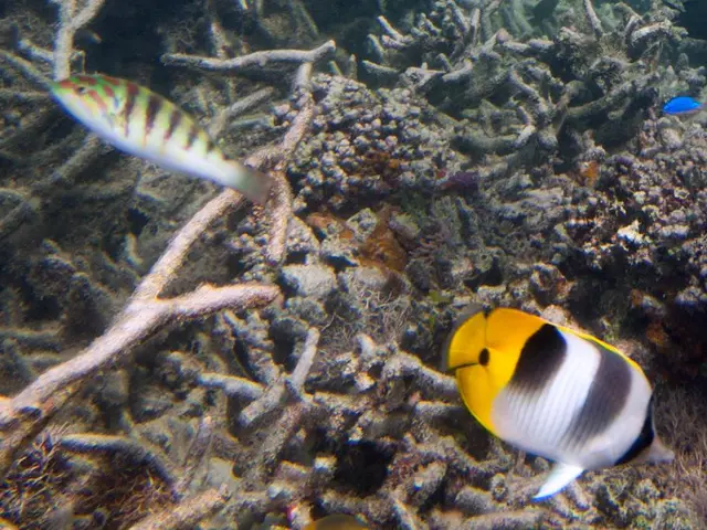 Career federal employees praised by Trump nominees, with promises of efficiency enhancements