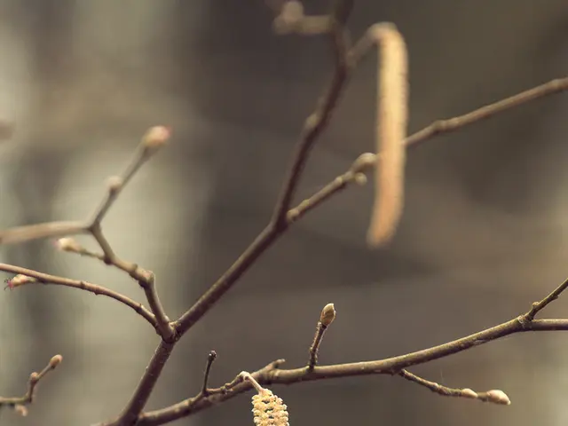 Federal politician Poilievre advocates for significant reductions in federal bureaucracy,...