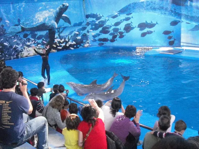 Advocacy for Legal Equality and Respect for Lesbian, Gay, Bisexual, Transgender, and Intersex...