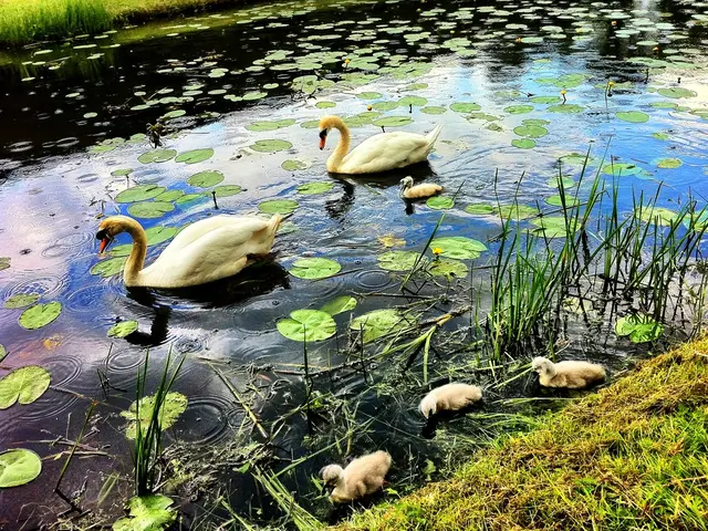 Prime Minister of Mauritius requests resignation of Central Bank's head