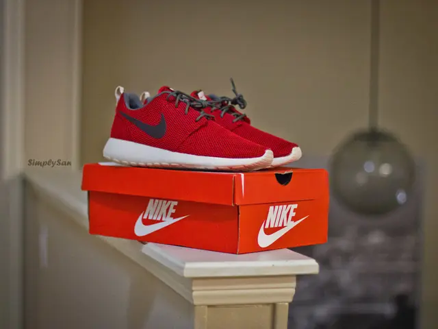 The Fascinating Tale Unraveling the Mystery of the Stolen Ruby Red Slippers from "The Wizard of Oz"...