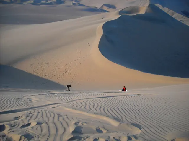 "T.C. Boyle's brand-new literary piece, titled 'No Way Home'"