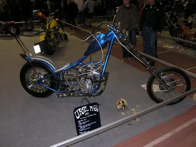 India's Defense Minister, Rajnath Singh, dismisses allegations of interference in halting...