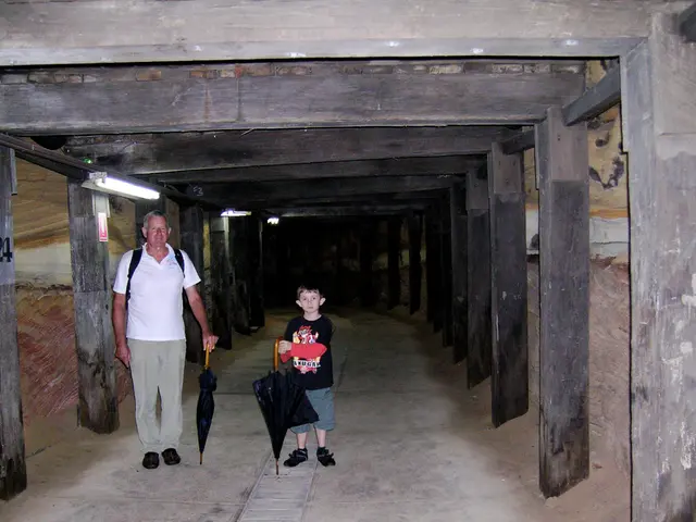 I think it is a inside picture of a tunnel. This tunnel has wood pillars. The bulbs are connected...