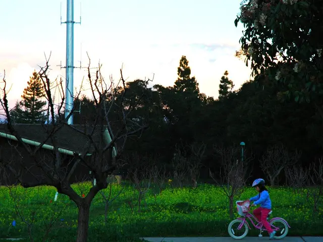 In this image in front there is a girl cycling on the road. Behind her there are plants. In the...