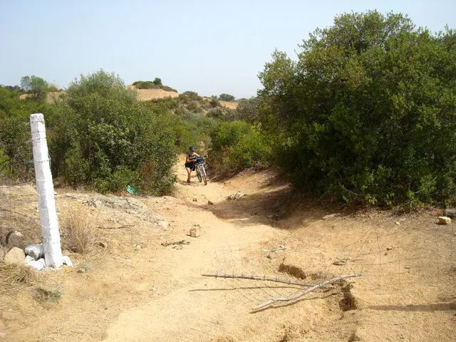 In this image we can see a woman is holding bicycle and moving on the sandy road. To the both sides...