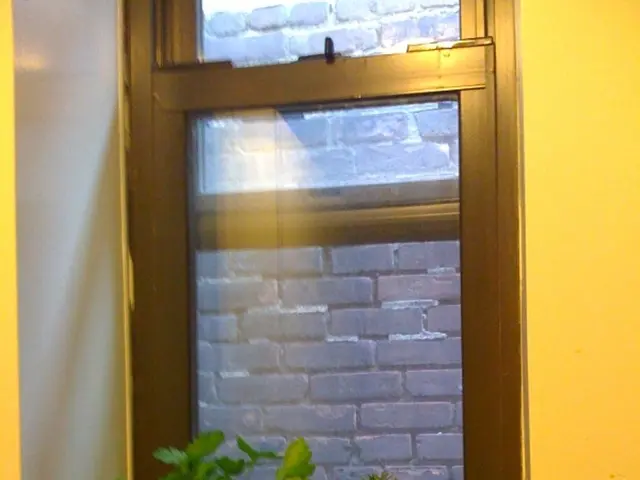 In this picture there are three plants placed in plant pots and there is a glass window behind it...