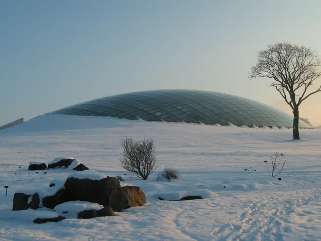 This is snow. There are plants, rocks, and trees. There is a house. Here we can see glasses in the...