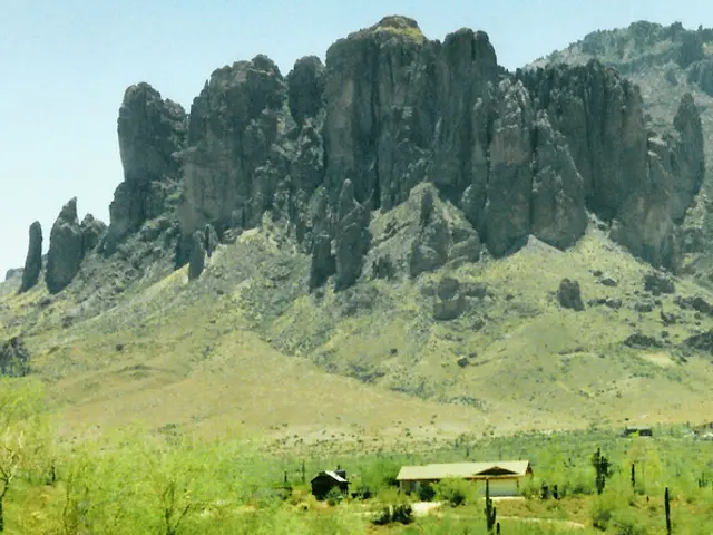 In the image we can see the ground is covered with grass. There are lot of trees and there are...