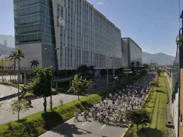 In this image there are a few people cycling on the road, beside the road there is grass on the...