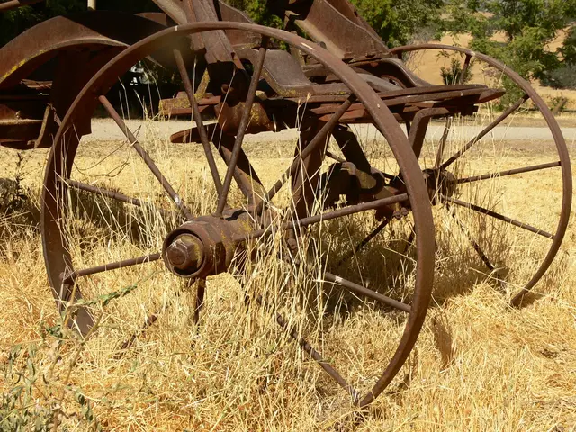 In this image there is a rusted vehicle on the dried grass, and in the background there are trees.