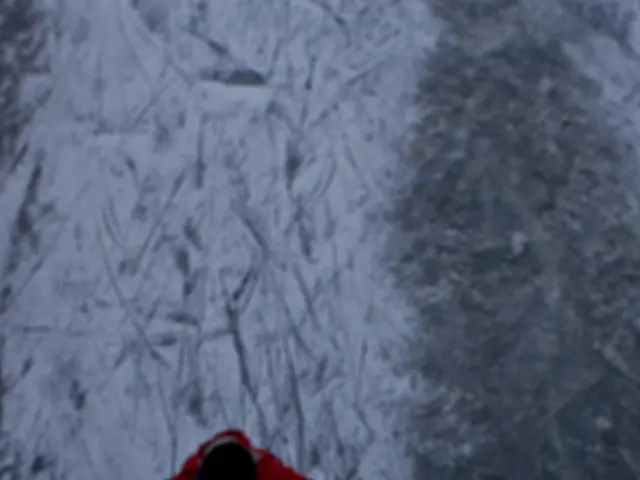 In this image I can see a person wearing a red color jacket, black color cap on the head and...