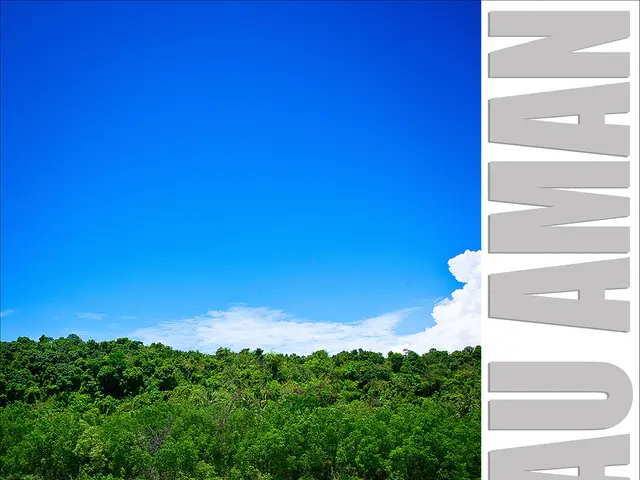 In this image I can see at the bottom there is the sea. In the middle there are trees, at the top...