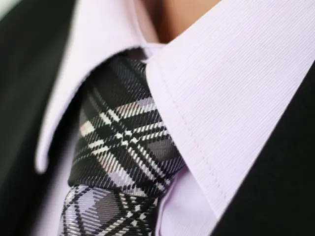 In this picture we can see a tie, black blazer and a shirt.