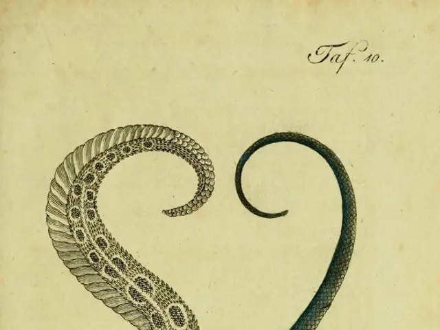 In this image there is a drawing of snakes and some text on the paper.
