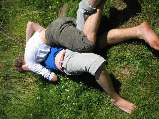 At the bottom of the picture I can see grass and two persons fighting.