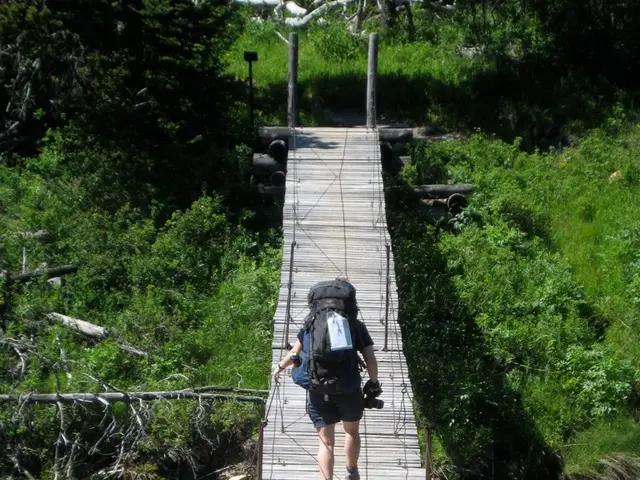 In the foreground of this image, there is a rope bridge over the water and a man wearing backpack...