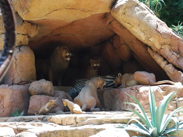 In this image there is a cave, in that cave there are sculptures of lions and a zebra, in the...