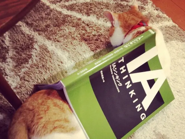 In this image we can see a cat on the mat and there is a book on the top of the cat.