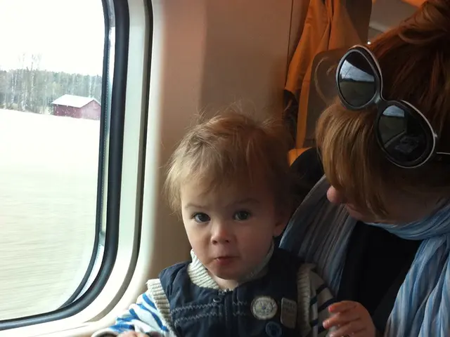 In the foreground of this image, there is a woman and a kid is siting on her. In front them, there...