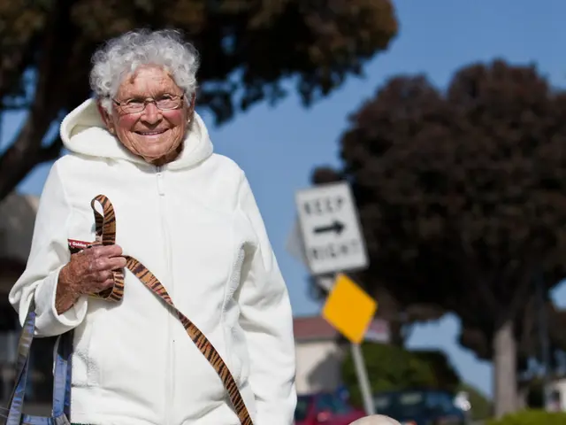 In this image I can see a old woman holding a belt of a dog and a bag. There are sign boards, trees...