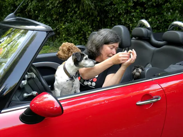 This is a picture of a car. In the car there is a woman sitting. And in the car there are three...