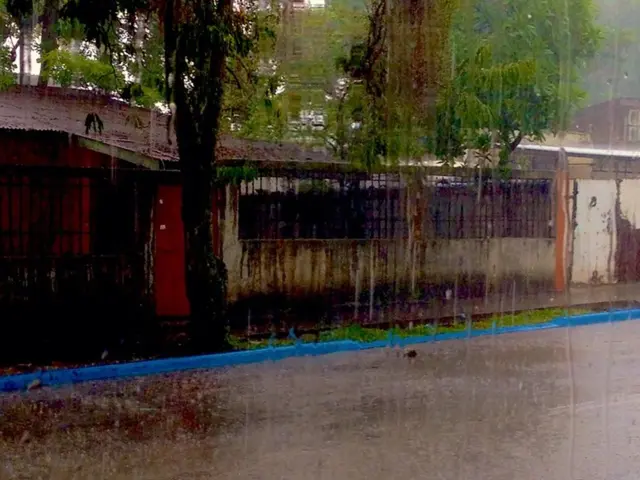 This is an outside view and it is raining. At the bottom of the image there is a road. In the...