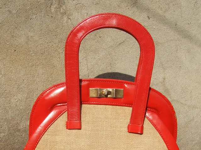 This picture shows a woman handbag