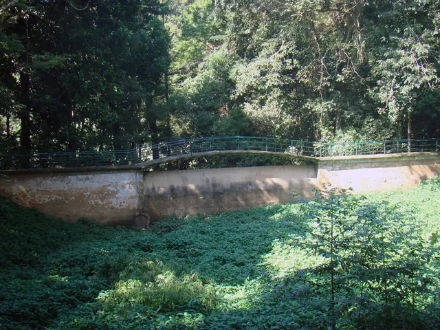 There are some plants at the bottom of this image and there is a fencing in the middle of this...