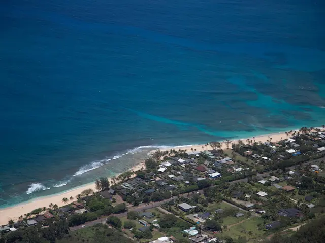 The image is an aerial view of a city. In the foreground there are trees, grass, fields, houses,...