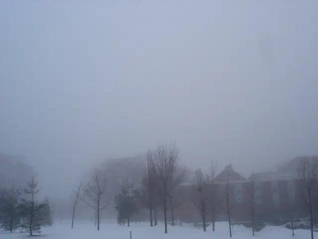 In this image in the center there are trees and in the background there is a building and there is...