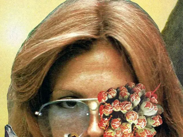 This is an edited image. In the background of the image there is a lady wearing spectacles. In the...