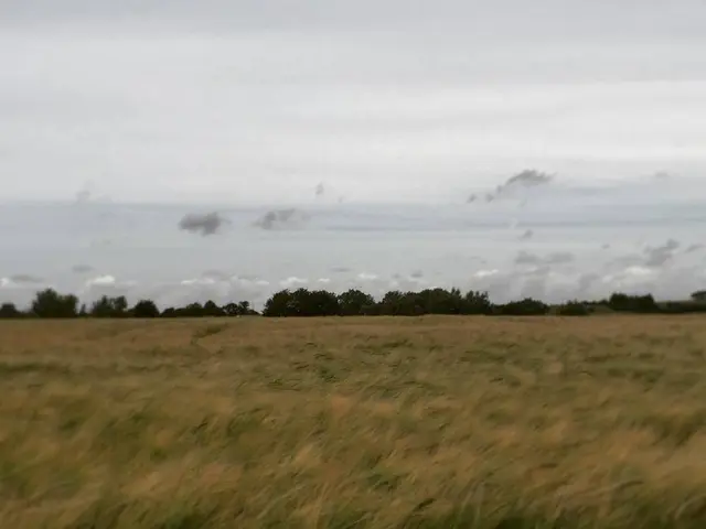 In this picture in the front there is dry grass and in the background there are trees and the sky...