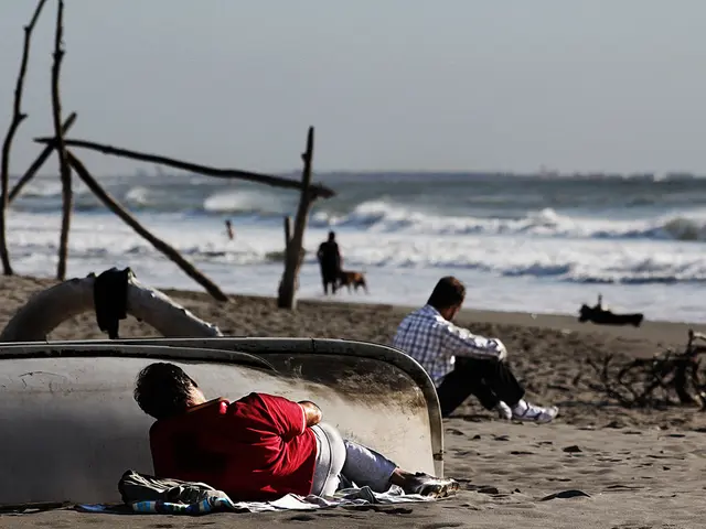 The picture is taken near a beach. In the foreground there are people, wooden logs, sand, boat and...