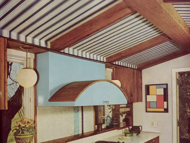 In this image on the left, there are vessels, fruits, plants, stove, jug, cups, window, glass,...