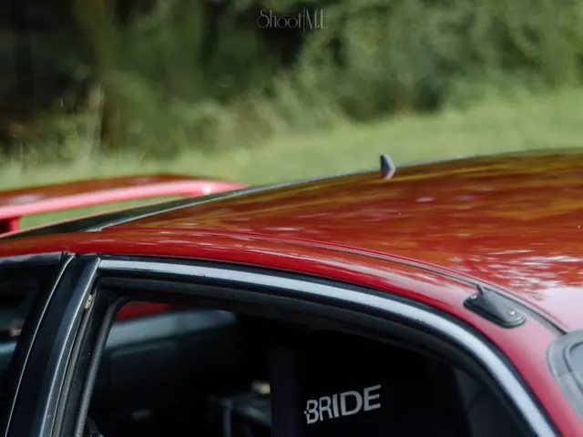 This is the car in dark red color. At the top there are plants in this image.