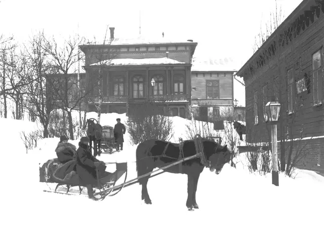 In this picture we can see few trees, horses, snow carts and group of people, on the left side of...