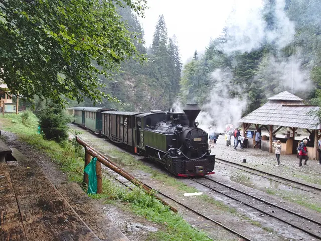 In the picture I can see a steam engine on the railway track. There are wooden tables and benches...